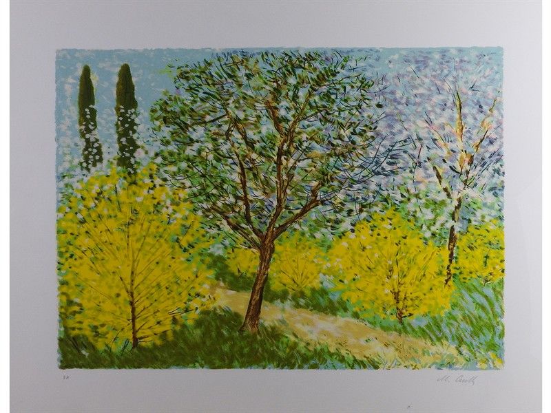 Lotto di Grafica