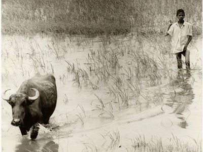 Benares India 1980