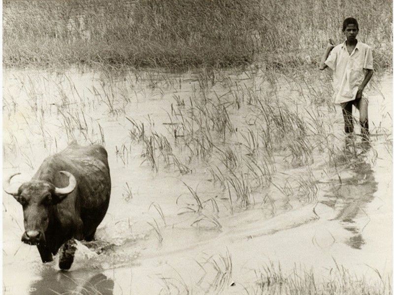 Marilaide Ghigliano - Benares India 1980