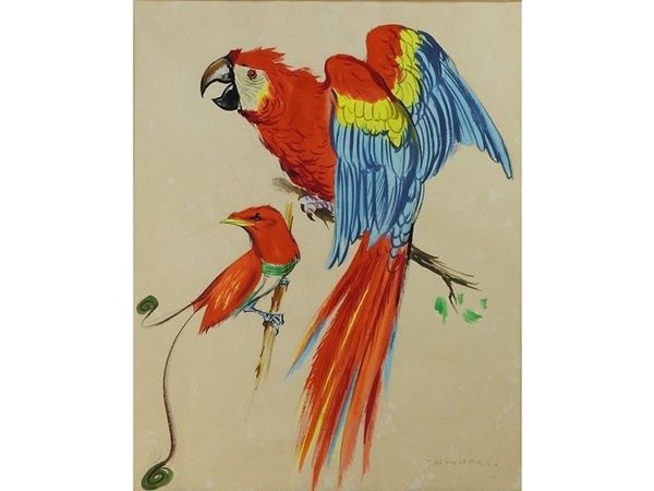 Parrots and Exotic Birds