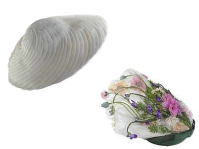 Due Cappelli