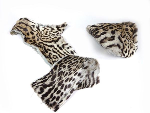 Cheetah fur collar and hat