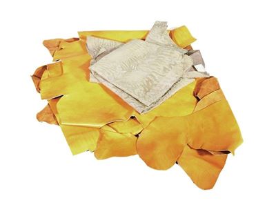 Lotto di Pelli