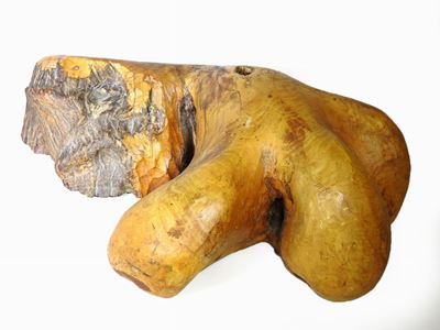 Scultura Astratta in Ulivo