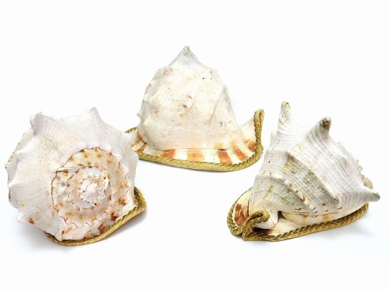 Tre Grandi Conchiglie