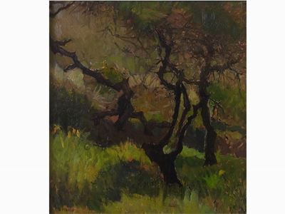Alberi Anni Venti