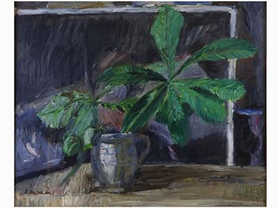 Natura Morta 1967