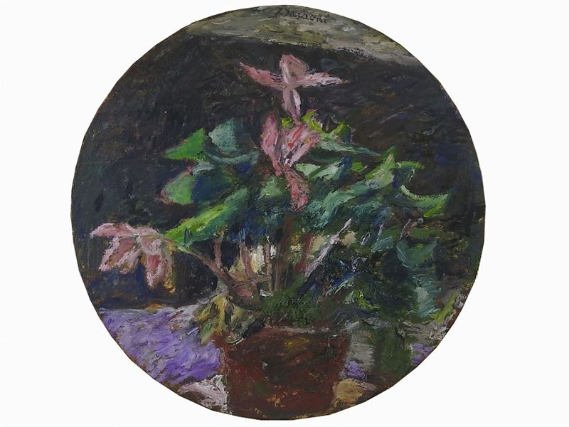 Enzo Faraoni - Ciclamini 1970