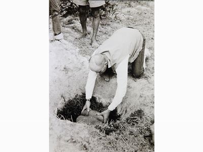 Piantagione Coco De Mer ''conquille Blanque'' Praslin Seychelles 1980