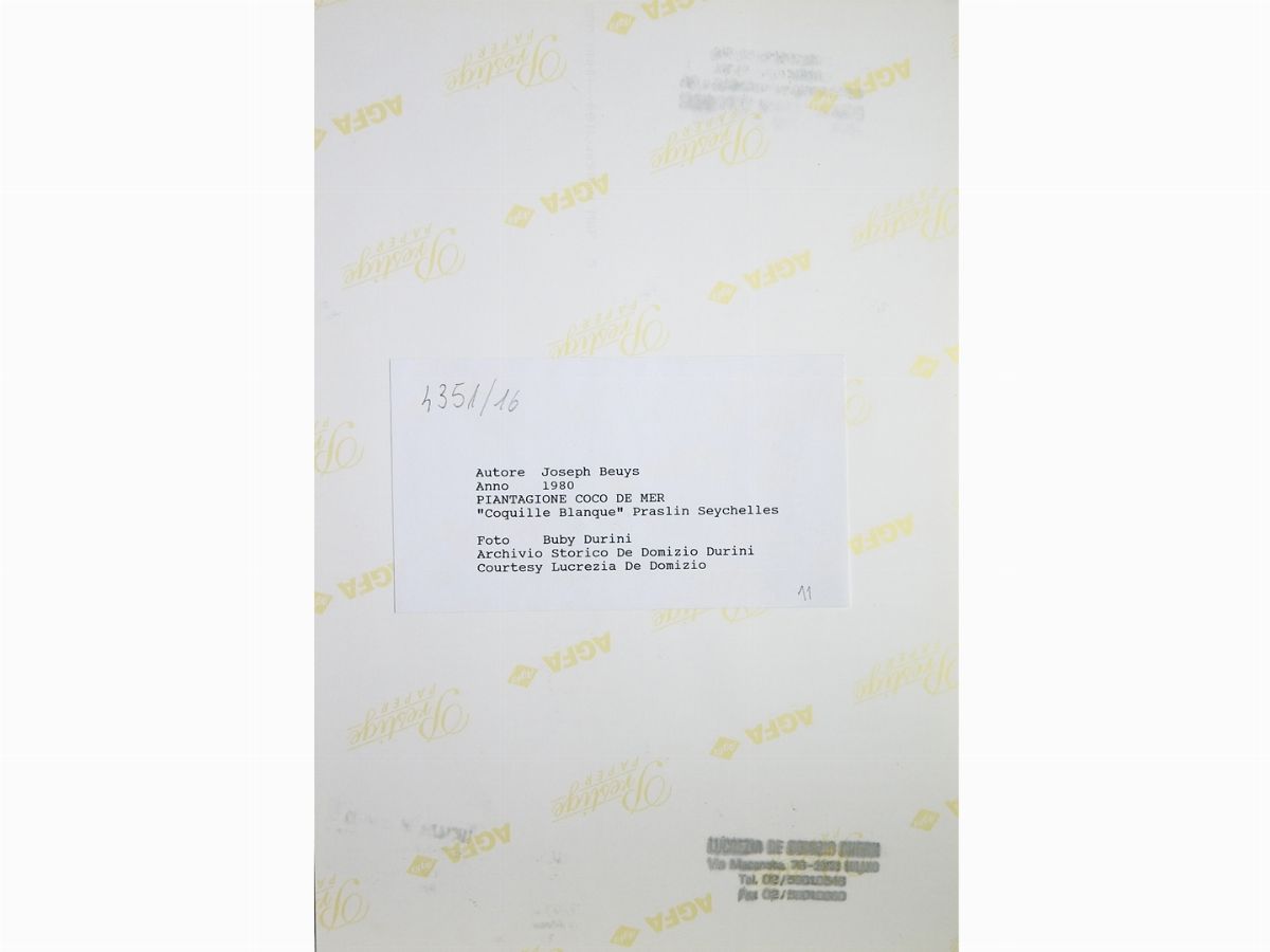 Joseph Beuys - Piantagione Coco De Mer ''conquille Blanque'' Praslin Seychelles 1980