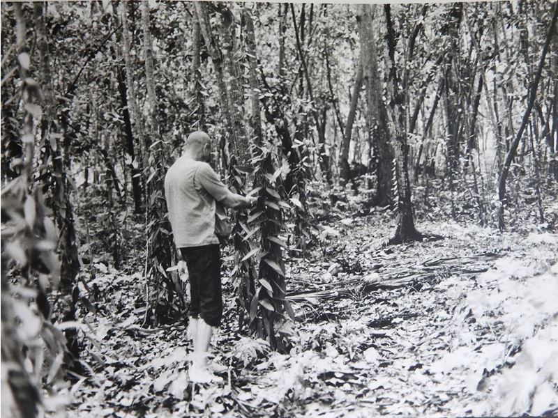 Joseph Beuys - Operazione Difesa della Natura - la Digue Seychelles 1980