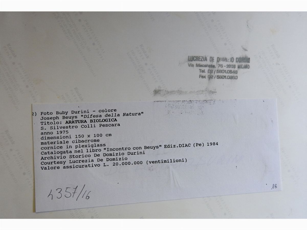 Joseph Beuys - Operazione Difesa della Natura, Aratura Biologica - San Silvestro Colli Pescara 19...