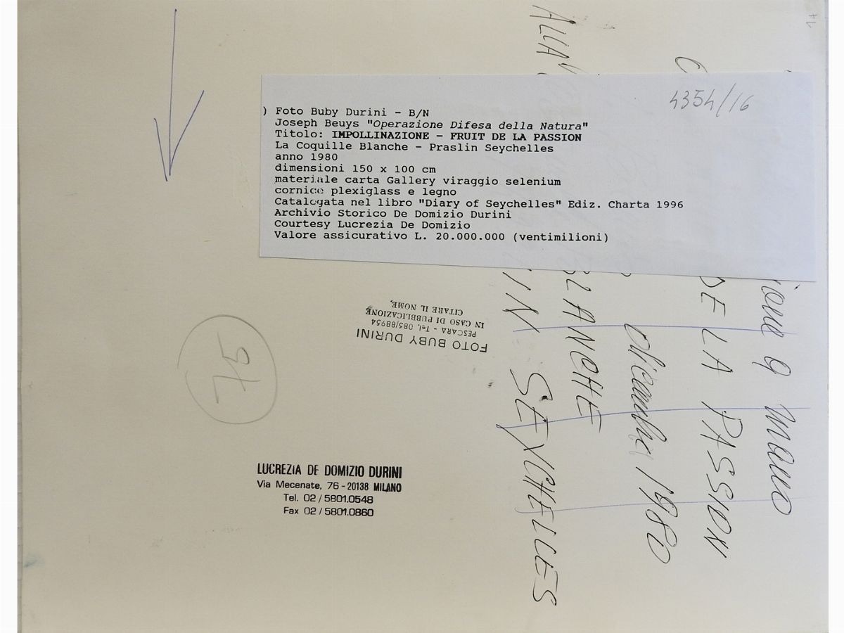 Joseph Beuys - Operazione Difesa della Natura, Impollinazione-fruit De la Passion - Praslin Seych...