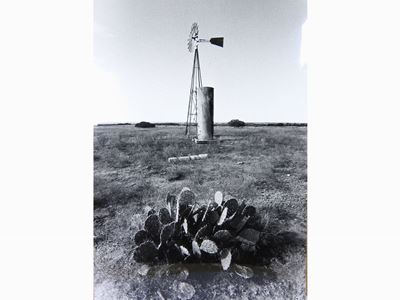 Texas Landscapes 1979