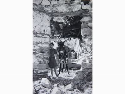 La Bambina e il Somarello 1974