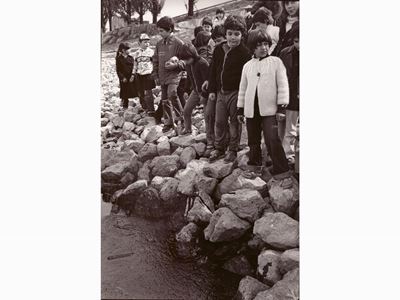 Il Pò Inquinato dal Greggio 1980