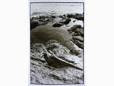 Uccello Ricoperto di Petrolio Nell' Ile-de-sein, Francia 1967
