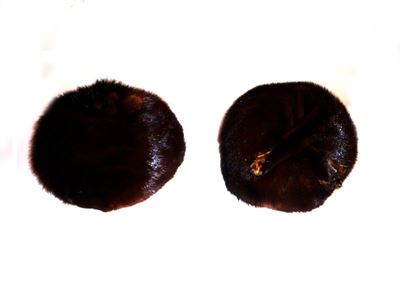 Due Cappelli in Visone Marrone