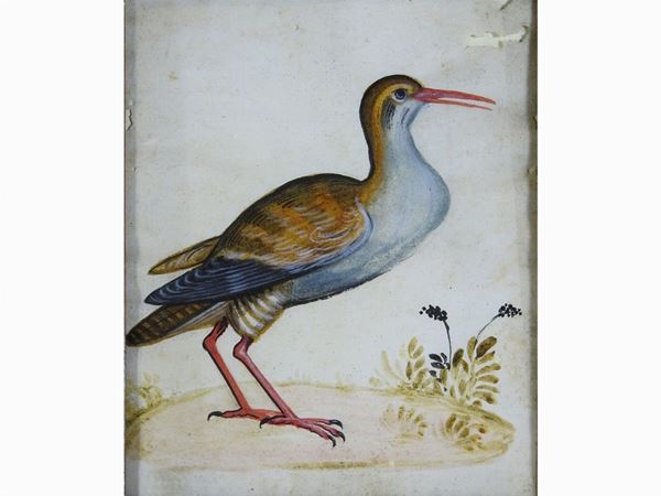 Scuola italiana dell'inizio del XIX secolo - Bird