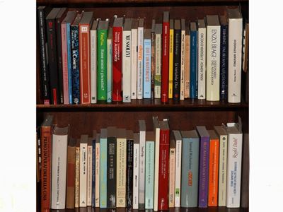 Lotto di Libri di Narrativa (45)