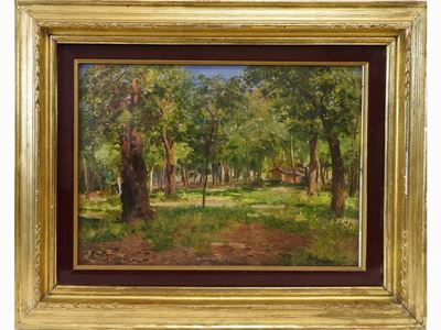 Paesaggio Campestre