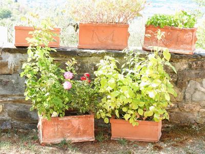 Lotto di Vasi a Cassetta in Terracotta