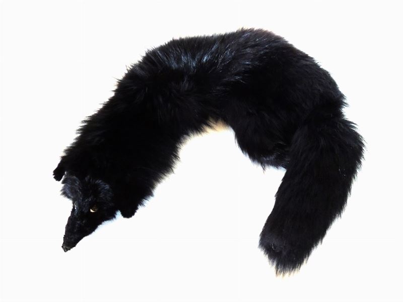 Stola in Volpe Nera