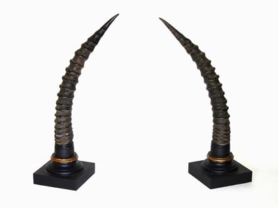 Coppia di Corna di Antilope