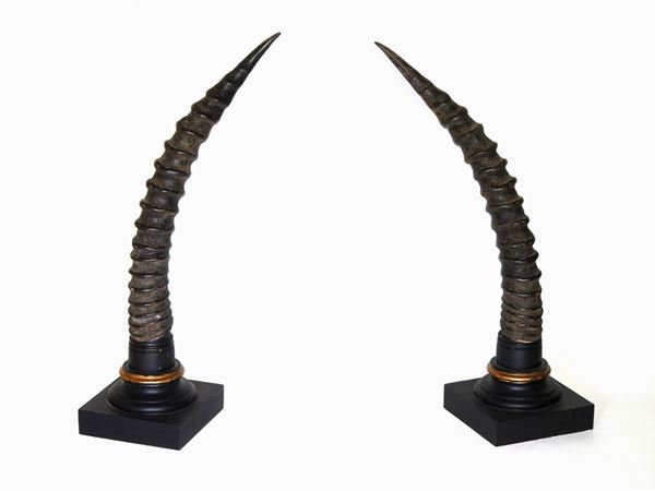 Pair of Antelope Horns