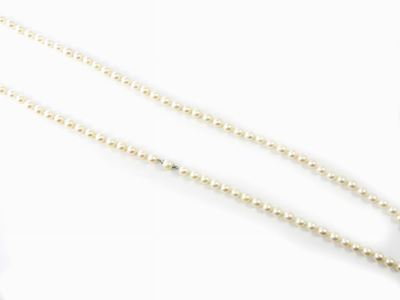 Collana a un Filo di Perle Coltivate Akoya