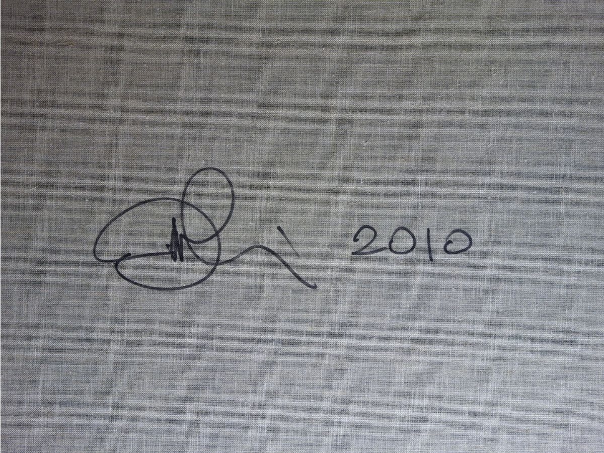Cristiano Pintaldi - Senza Titolo 2010