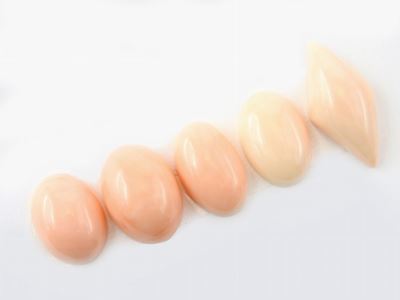 Lotto di Cabochons di Corallo Rosa