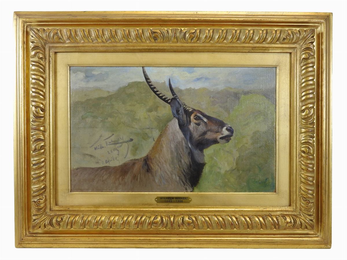 Wilhelm Kuhnert - Cervo 1905