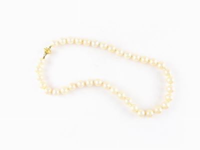 Girocollo Perle Coltivate Akoya Semi Barocche con Fermezza in Oro Giallo