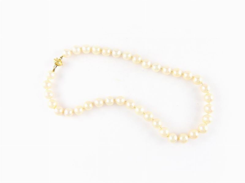 Girocollo Perle Coltivate Akoya Semi Barocche con Fermezza in Oro Giallo