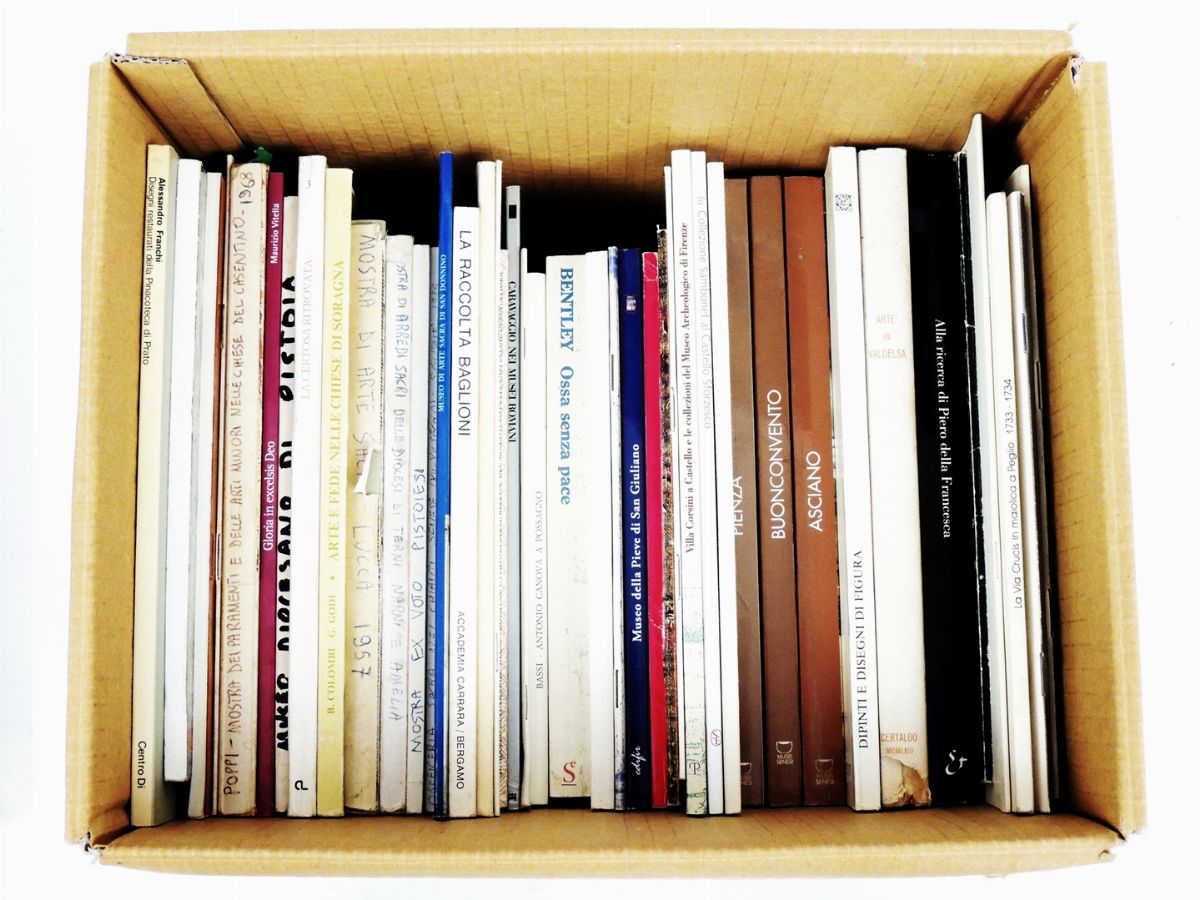 Grande Miscellanea di Libri D'arte