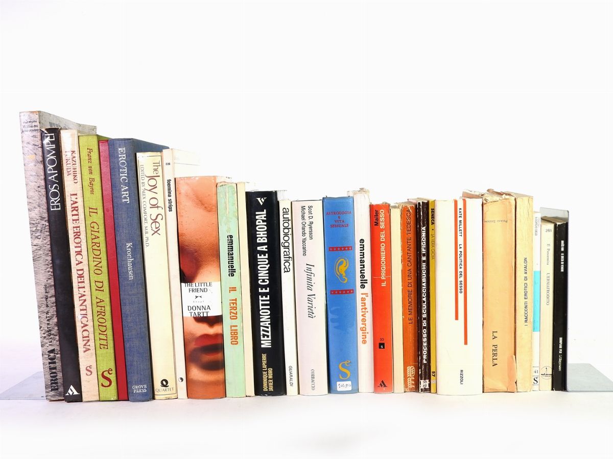Grande Lotto di Libri di Erotica