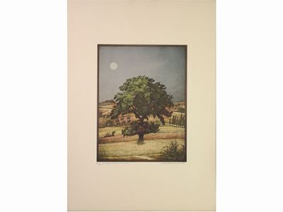 Doppia Quercia (di Notte) 1985