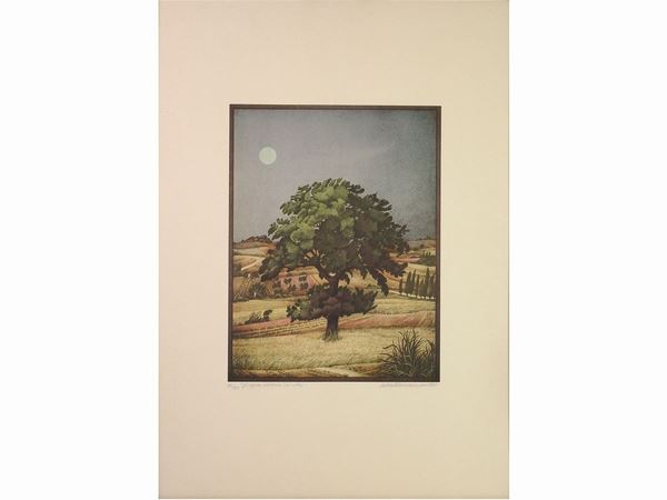 Savina Tavano Amodeo - Doppia quercia (di notte) 1985
