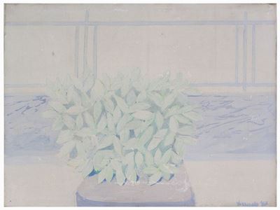 Vaso di Fiori 1967