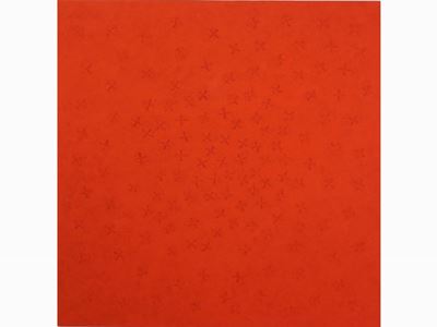 Battaglia nel Cielo 2004