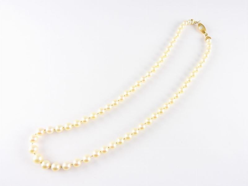 Collana Scalare di Perle Coltivate Akoya con Fermezza in Oro Giallo