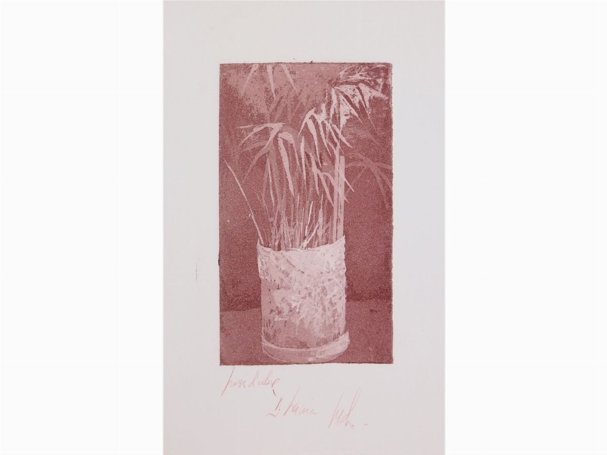 Pedro Cano - Nature Morte