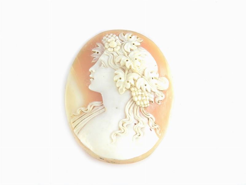 Cammeo in Conchiglia