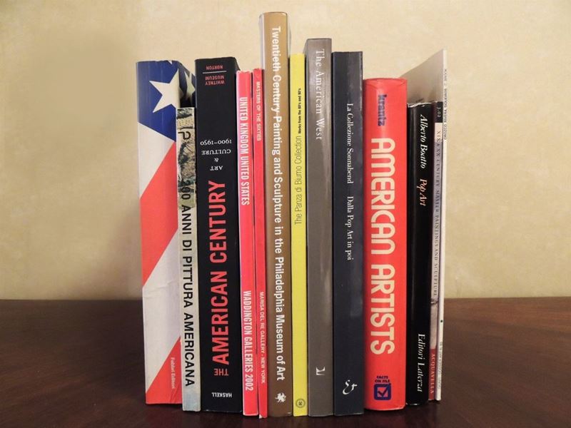 Tredici Libri Sull'arte Moderna e Contemporanea in America