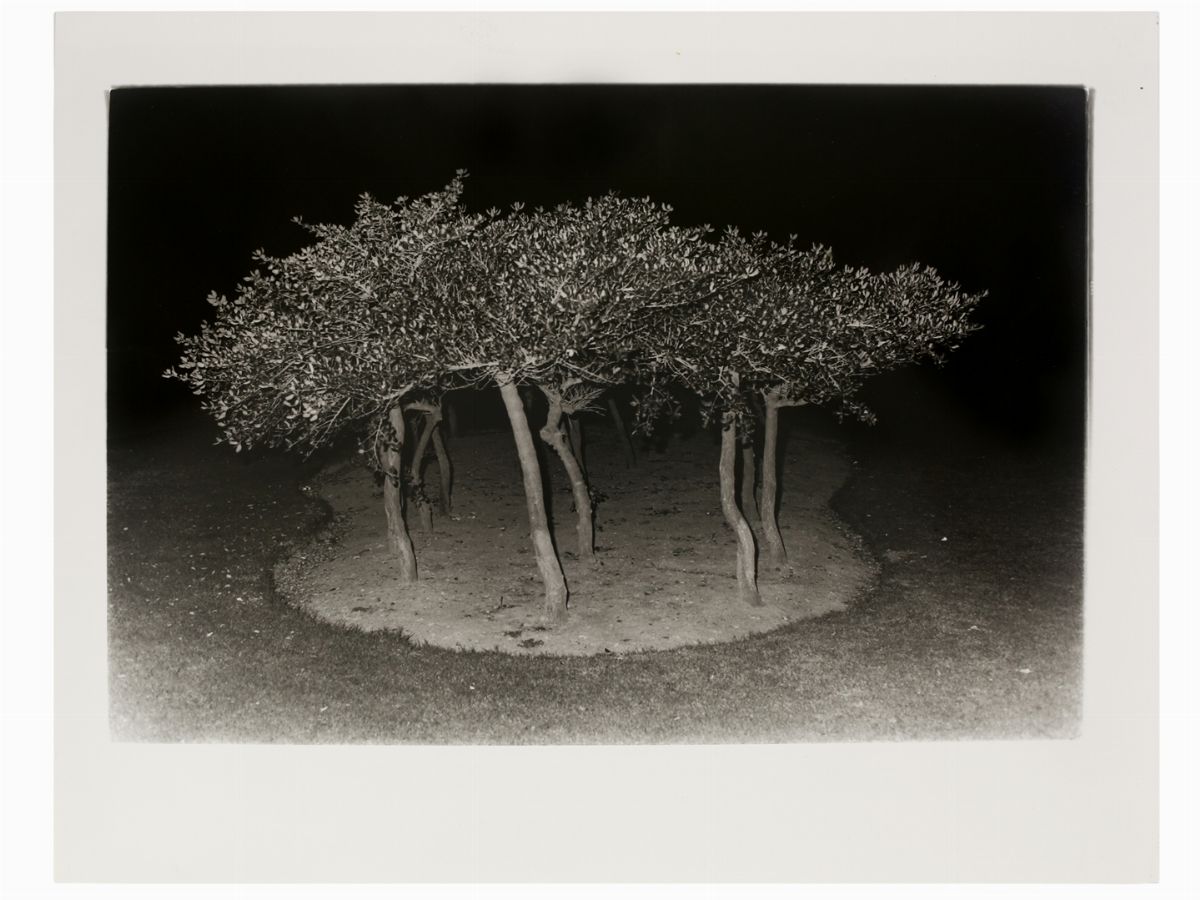 Cornelius Hansen - South Africa, 1994
