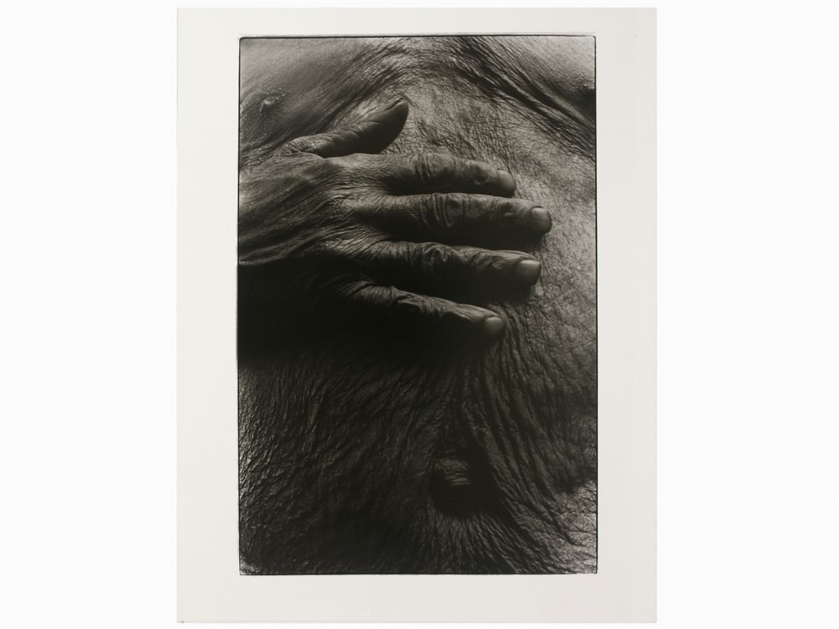 Cornelius Hansen - South Africa, 1994