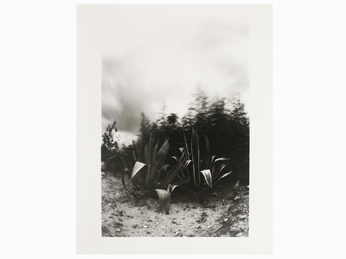 Cornelius Hansen - South Africa, 1994