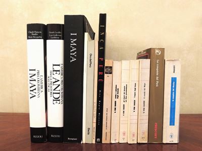 Quattordici Libri sulle Civiltà Precolombiane