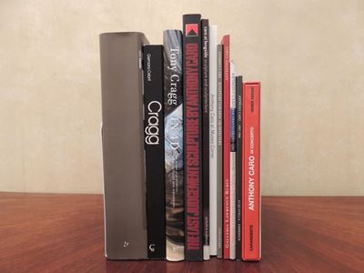 Undici Libri D'arte su Tony Cragg e Anthony Caro